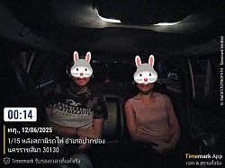 租一辆带司机的汽车去其他省份旅行
