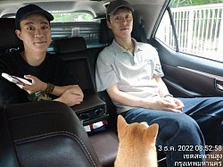 租车去清迈，一路轻松。